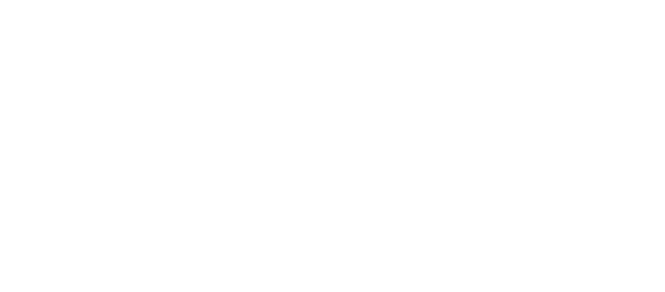 HEHN RECORDS